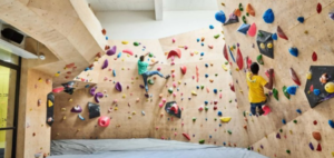 How Much Is a Rock Climbing Wall